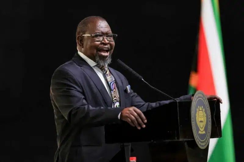 Finance Minister Enoch Godongwana delivering SA Budget 2026.