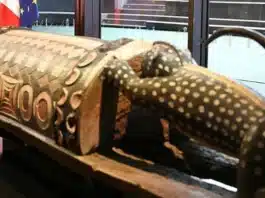 France Returns Sacred Talking Drum Looted During Colonial Rule to Ivory Coast