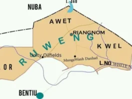 Abiemnom Massacre: 169 Dead as South Sudan Edges Toward Civil War