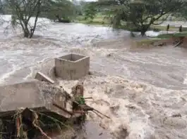 Limpopo flood alert as Heavy Rains Trigger Warnings in South Africa