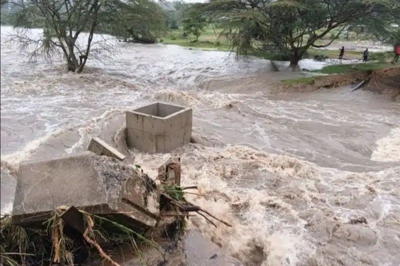 Limpopo flood alert as Heavy Rains Trigger Warnings in South Africa