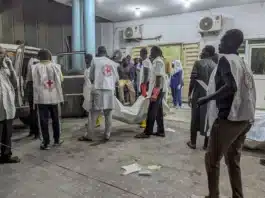Borno-Yobe Border Market Bombing Leaves More Than 50 Dead