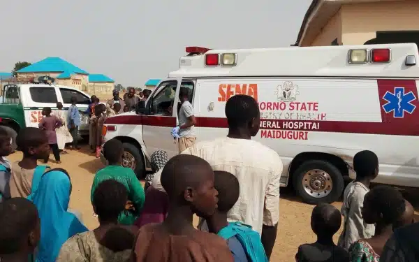 Borno-Yobe Border Market Bombing Leaves More Than 50 Dead