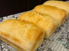 Nigerian Woman Viral Bread Lawsuit Food Safety Debate Hits ₦50M Dispute