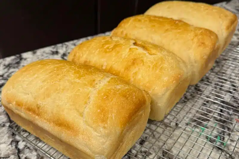 Nigerian Woman Viral Bread Lawsuit Food Safety Debate Hits ₦50M Dispute