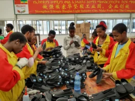Ethiopia WTO membership: Reform breakthrough or high-stakes gamble?