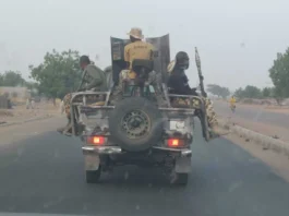 Borno Resettlement Security Crisis Deepens After Deadly Ngoshe-Pulka Road Attack