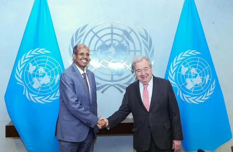 AU-UN Partnership for Africa Pushes Security Council Reform and New Peace Agenda