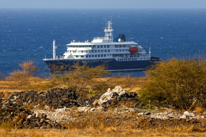 Hantavirus Cruise Ship Crisis Leaves 3 Dead, 150 Stranded at Sea