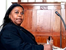 MK Party Chief Whip Fraud Case Brings Nkandla Back Into South Africa's Political Spotlight