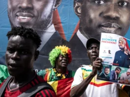 Faye Sonko Power Struggle Bursts into the Open as Senegal's Ruling Alliance Fractures