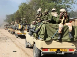 Lake Chad Boko Haram Attack Kills 2 Generals After Deadly Chad Army Raid