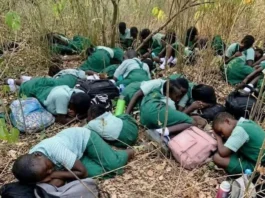 Children Victims of Aggression: 80 Await Rescue in Nigeria