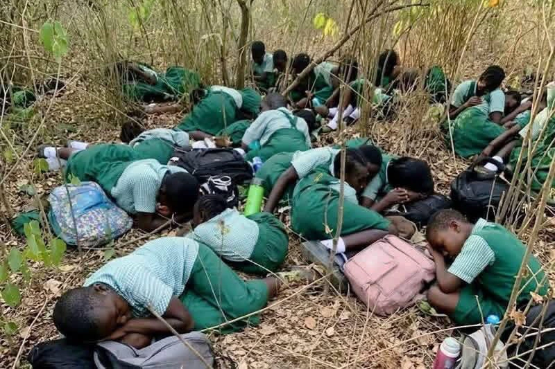 Children Victims of Aggression: 80 Await Rescue in Nigeria