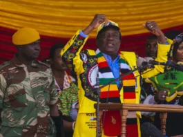 Zimbabwe Rigged Elections Legitimacy Crisis Laid Bare as Government Makes Stunning Admission