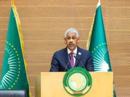 East Africa's Economic Outlook Faces $119 Billion Financing Gap Despite Strong Growth