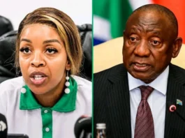 Jacinta Ngobese-Zuma Ramaphosa Row Deepens Rift In Anti-Immigration Movement