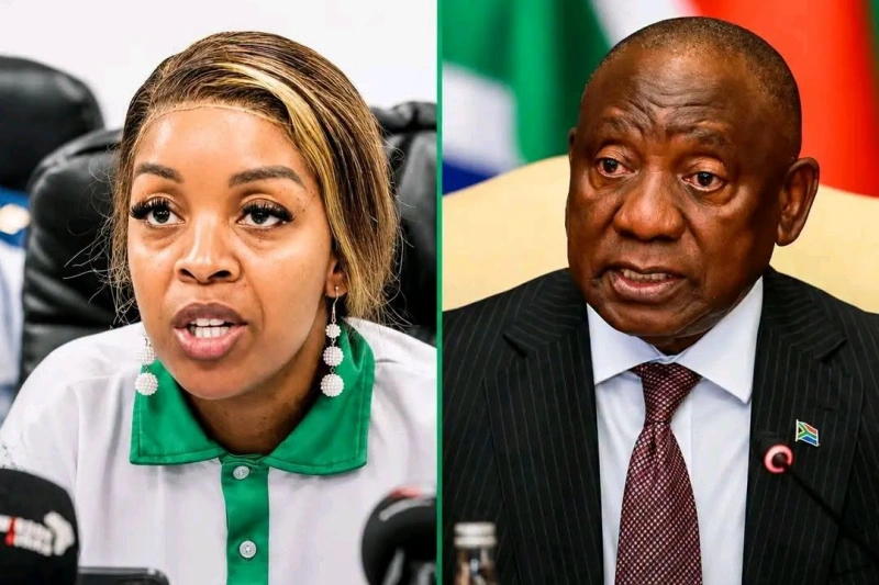 Jacinta Ngobese-Zuma Ramaphosa Row Deepens Rift In Anti-Immigration Movement