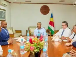 Cabinet Approves Seychelles Sovereign Investment Fund and AfCFTA Trade Hub