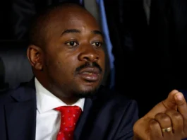 Chamisa Bribery Claims: Nelson Chamisa Denies Zanu-PF Payoff Allegations