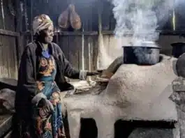 Kenya, Norway and US Unlock $900m Push for Clean Cooking Access in Africa