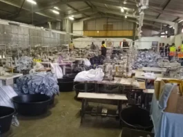 South African Clothing Factories Warn of Collapse as Immigrant Workers Flee