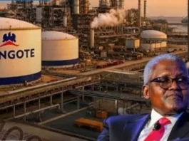 Massive Dangote Refinery in Kenya Excites Citizens with 700,000-Barrel Daily Target