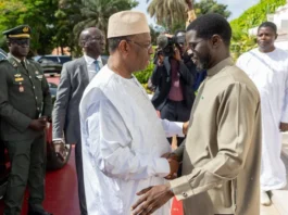 Senegal Mobilises Diplomats to Support Macky Sall's UN Bid