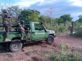Gambia Senegal Border Tension: Banjul Slams Border Fence Teardown