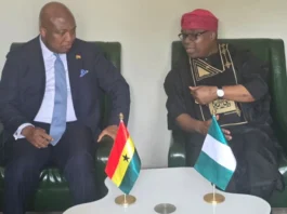 Nigeria and Ghana Push Afrophobia in South Africa Onto African Union Agenda