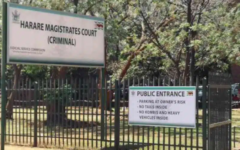 Zimbabwe Arrests Chinese Investor In $3.65 Million Lithium Mining Fraud Case