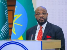 Massinga's Tigray Visit Renews US Passionate Push for Ethiopia Ceasefire Deal