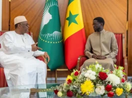 Macky Sall's UN Bid Gets Dakar Boost After Faye Meeting