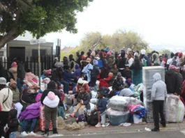 Malawian Repatriation Surges Amid Growing Fears of Attacks