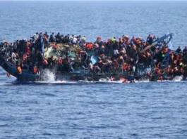 Mauritania Migrant Boat Disaster Leaves 144 Dead or Missing on Atlantic Route