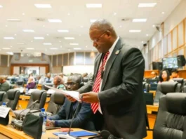 Pan-African Parliament Moves to Debate Attacks on African Migrants in South Africa