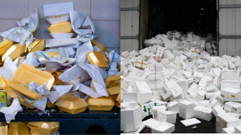 Single-Use Plastics: Ghana Doctors Urge Wider Ban Beyond Styrofoam