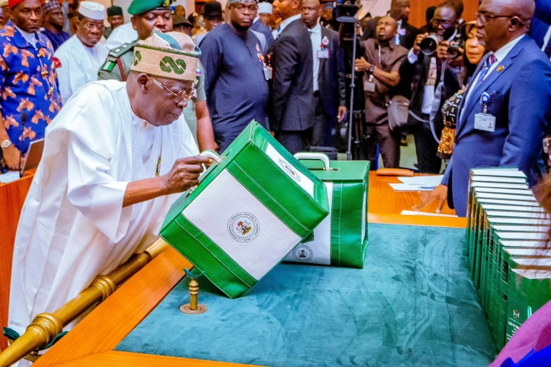 Nigeria Exceeds 2024 Borrowing Target by N4.79tn as Budget Deficit Widens