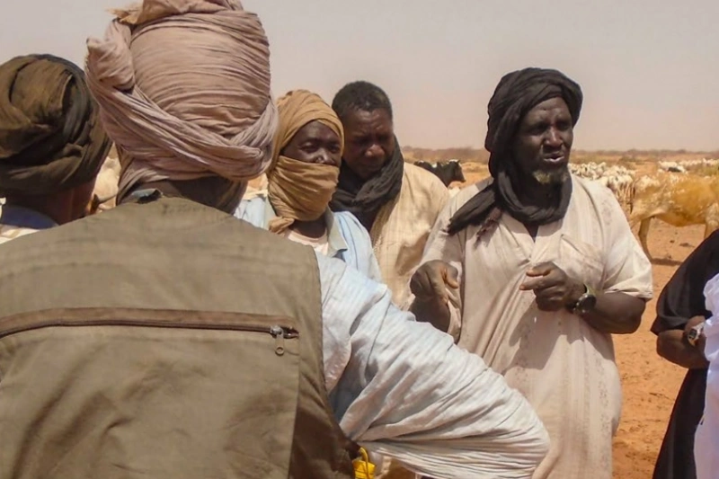 Sahel security groups: the cooperation behind the region's sovereignty push