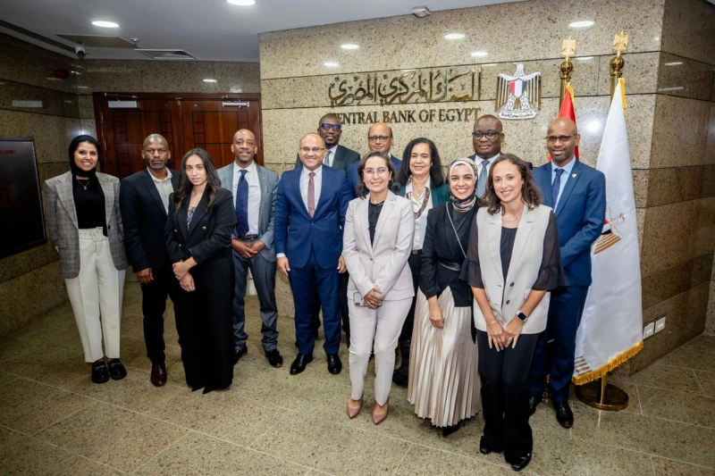 African Financial Stability Report Debuts as Egypt Launches First Continental Banking Risk Assessment