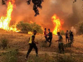 Algeria Wildfires Kill 12, Injure 54 As Heatwave Grips Northeast