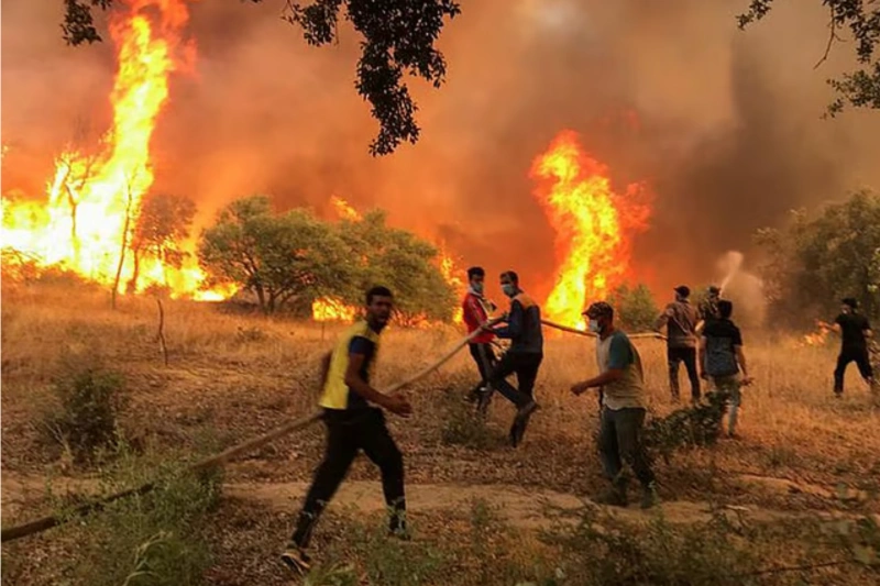 Algeria Wildfires Kill 12, Injure 54 As Heatwave Grips Northeast