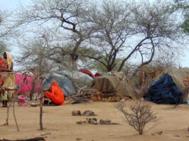 Chad-Sudan border tensions: what is really going on behind the claims and counter-claims