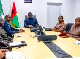 Guinea-Bissau Mediation Mission Sparks New Hope for Constitutional Rule