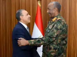 Egypt Strongly Reaffirms Support for Sudanese-Led Political Process Amid Ongoing War