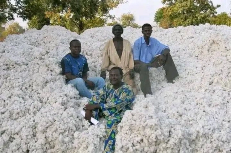 Ivorian Cotton Processing Drive Gains Momentum With China Textile Deal