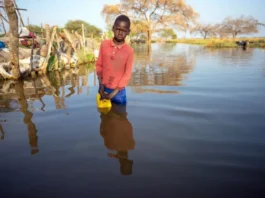 How serious is the El Niño threat to Southern Africa food security?