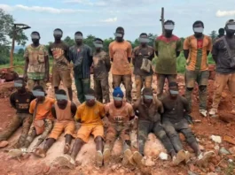 Government Targets Financiers of Illegal Gold Mining in Côte d'Ivoire