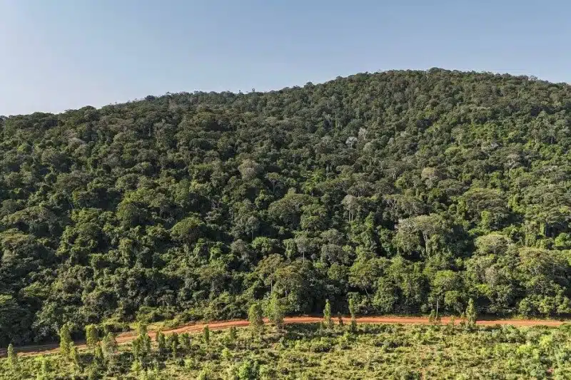 Kenya's Rare Earth Minerals Become New Battleground in US-China Competition