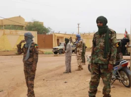 Abeïbara Strike: Mali Claims 50 Fighters Killed in Kidal Operation